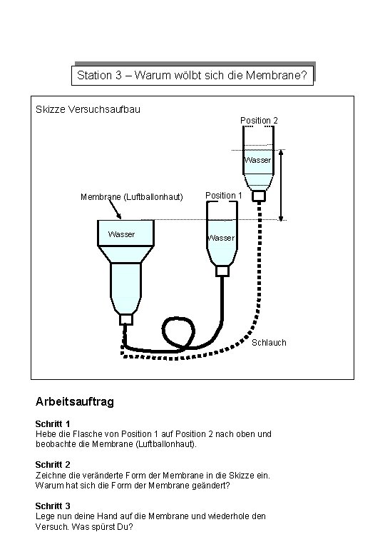 Station 3 – Warum wölbt sich die Membrane? Skizze Versuchsaufbau Position 2 Wasser Membrane Station 3 – Warum wölbt sich die Membrane? Skizze Versuchsaufbau Position 2 Wasser Membrane