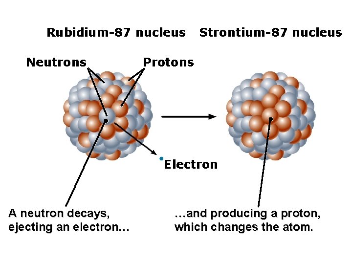 Rubidium-87 nucleus Neutrons Strontium-87 nucleus Protons Electron A neutron decays, ejecting an electron… …and