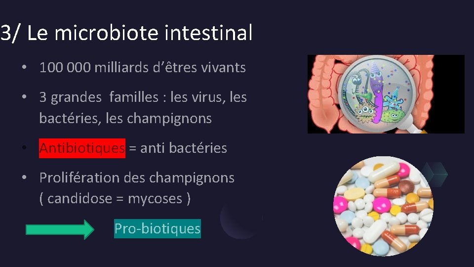 3/ Le microbiote intestinal • 100 000 milliards d’êtres vivants • 3 grandes familles