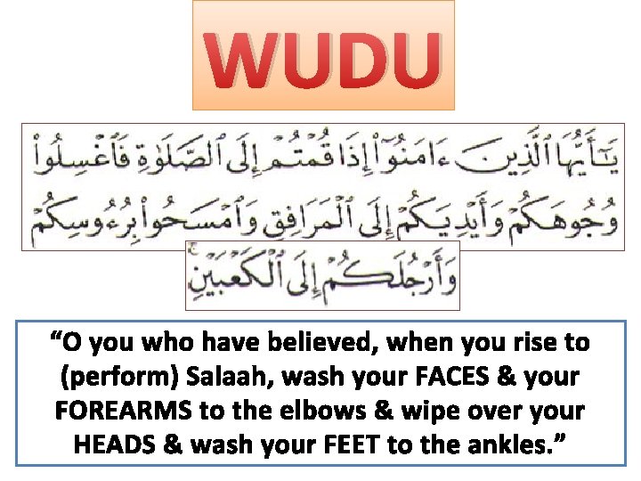 WUDU “O you who have believed, when you rise to (perform) Salaah, wash your