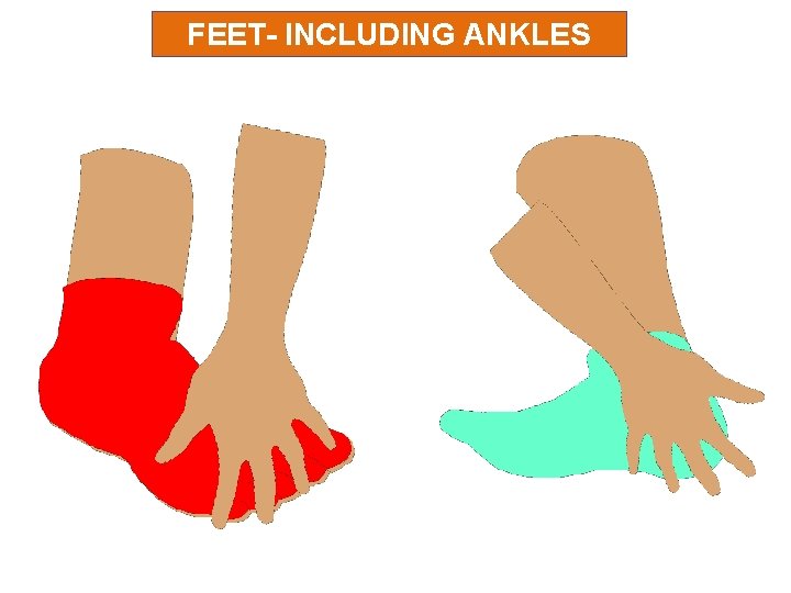 FEET- INCLUDING ANKLES 