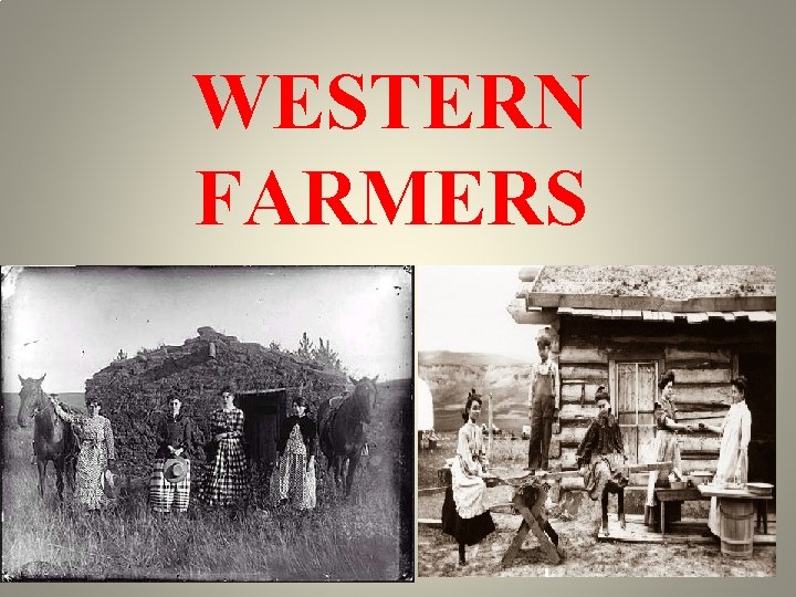 WESTERN FARMERS 