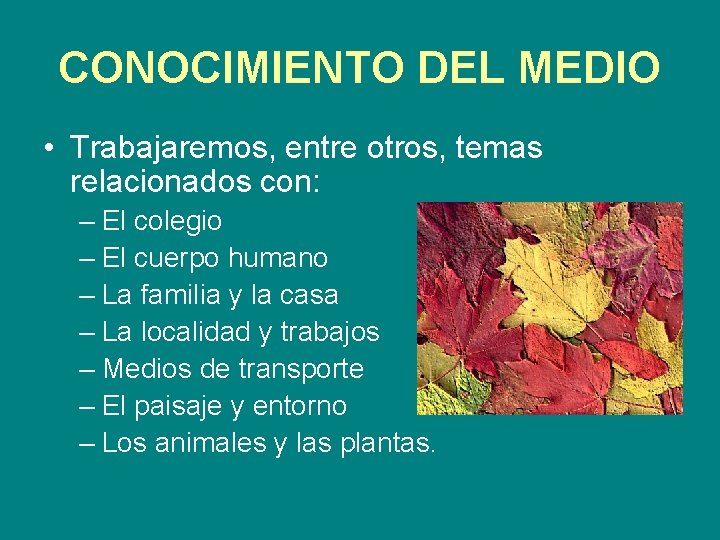 CONOCIMIENTO DEL MEDIO • Trabajaremos, entre otros, temas relacionados con: – El colegio –