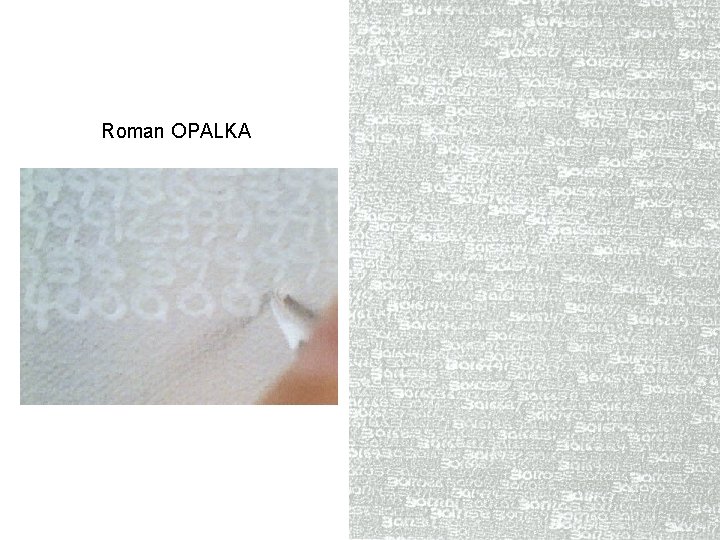 Roman OPALKA 