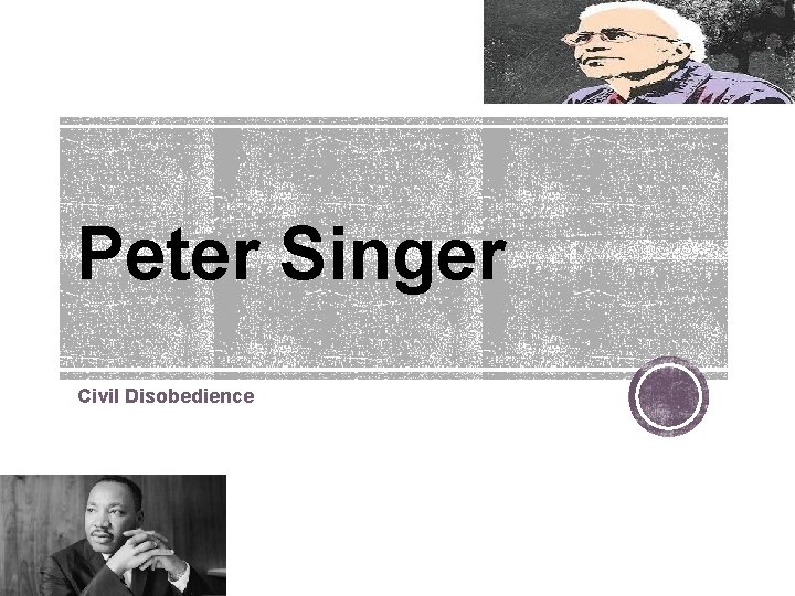 Peter Singer Civil Disobedience 