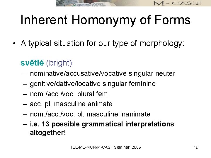 Inherent Homonymy of Forms • A typical situation for our type of morphology: světlé