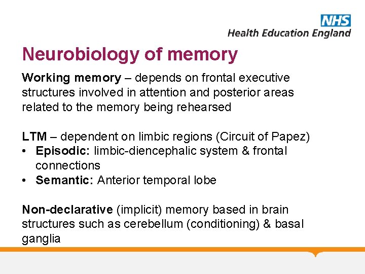 Neurobiology of memory Working memory – depends on frontal executive structures involved in attention