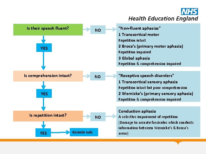 Is their speech fluent? NO “Non-fluent aphasias” 1 Transcortical motor Repetition intact 2 Broca’s