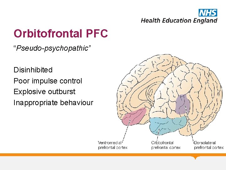 Orbitofrontal PFC “Pseudo-psychopathic” Disinhibited Poor impulse control Explosive outburst Inappropriate behaviour 