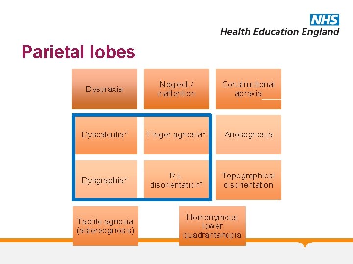 Parietal lobes Dyspraxia Neglect / inattention Constructional apraxia Dyscalculia* Finger agnosia* Anosognosia Dysgraphia* R-L