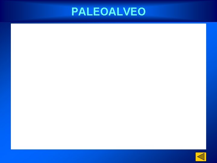 PALEOALVEO 