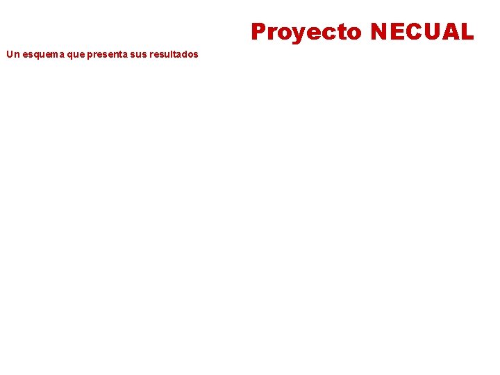 Proyecto NECUAL Un esquema que presenta sus resultados 
