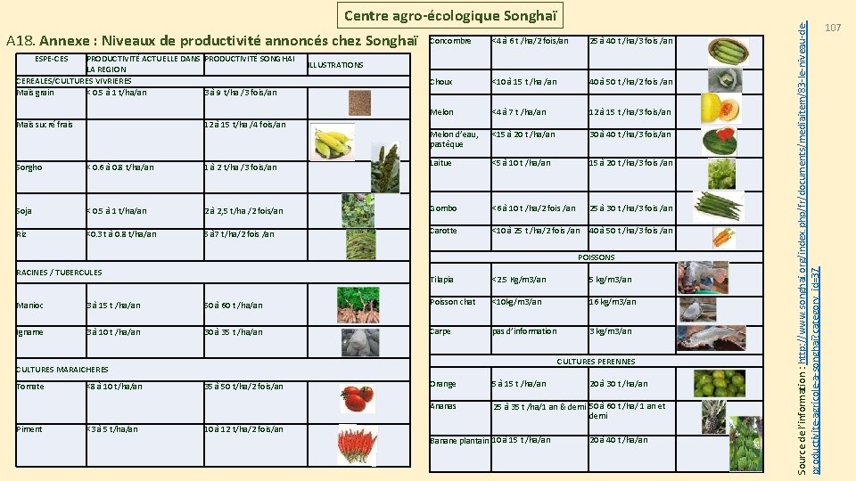 A 18. Annexe : Niveaux de productivité annoncés chez Songhaï ESPE-CES PRODUCTIVITÉ ACTUELLE DANS A 18. Annexe : Niveaux de productivité annoncés chez Songhaï ESPE-CES PRODUCTIVITÉ ACTUELLE DANS