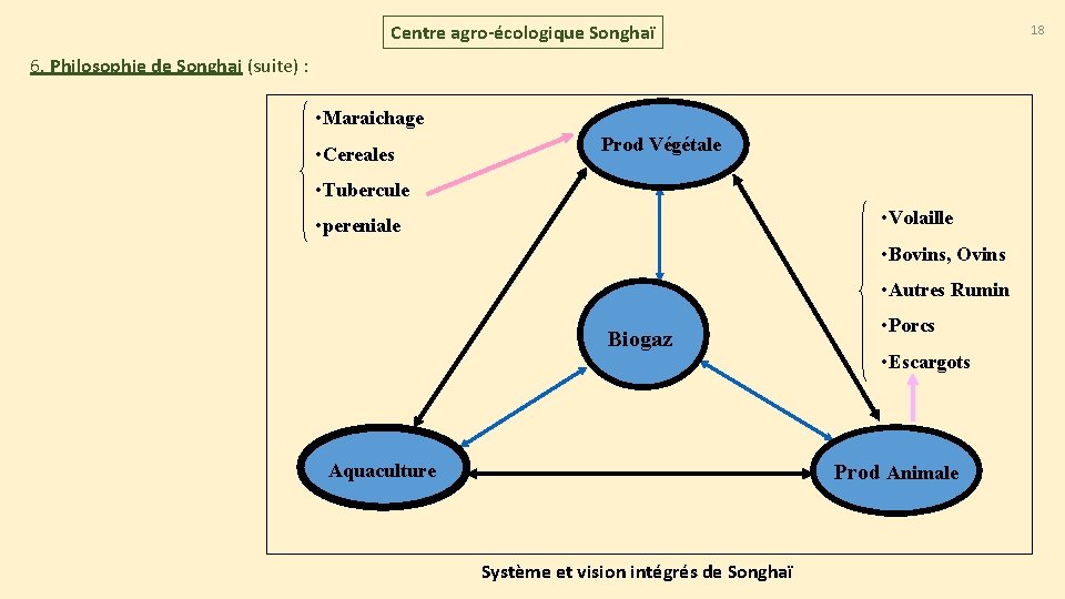 Centre agro-écologique Songhaï 18 6. Philosophie de Songhai (suite) : • Maraichage • Cereales Centre agro-écologique Songhaï 18 6. Philosophie de Songhai (suite) : • Maraichage • Cereales