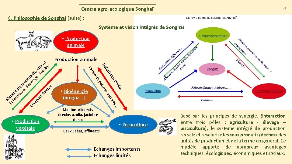 Centre agro-écologique Songhaï 21 6. Philosophie de Songhai (suite) : Système et vision intégrés Centre agro-écologique Songhaï 21 6. Philosophie de Songhai (suite) : Système et vision intégrés