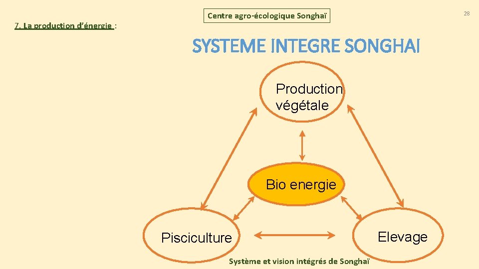 7. La production d’énergie : 28 Centre agro-écologique Songhaï SYSTEME INTEGRE SONGHAI Production végétale 7. La production d’énergie : 28 Centre agro-écologique Songhaï SYSTEME INTEGRE SONGHAI Production végétale