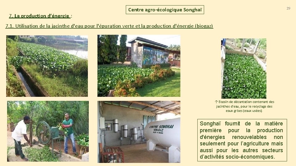 7. La production d’énergie : 29 Centre agro-écologique Songhaï 7. 1. Utilisation de la 7. La production d’énergie : 29 Centre agro-écologique Songhaï 7. 1. Utilisation de la
