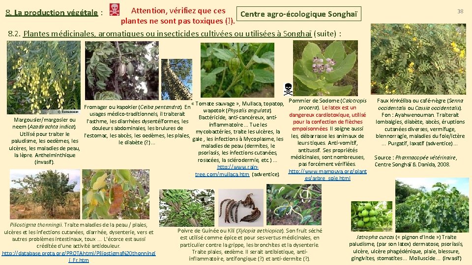 Attention, vérifiez que ces Centre agro-écologique Songhaï plantes ne sont pas toxiques (!). 8. Attention, vérifiez que ces Centre agro-écologique Songhaï plantes ne sont pas toxiques (!). 8.