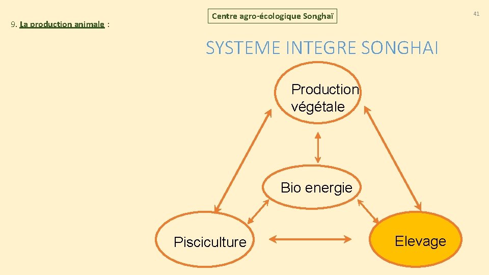 9. La production animale : 41 Centre agro-écologique Songhaï SYSTEME INTEGRE SONGHAI Production végétale 9. La production animale : 41 Centre agro-écologique Songhaï SYSTEME INTEGRE SONGHAI Production végétale