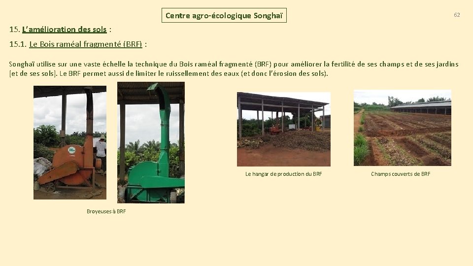 Centre agro-écologique Songhaï 62 15. L’amélioration des sols : 15. 1. Le Bois raméal Centre agro-écologique Songhaï 62 15. L’amélioration des sols : 15. 1. Le Bois raméal