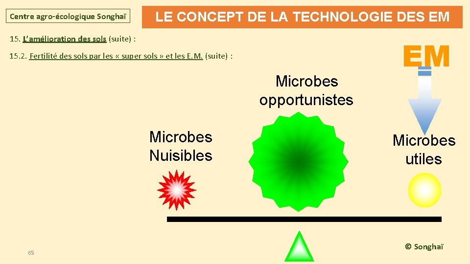 Centre agro-écologique Songhaï LE CONCEPT DE LA TECHNOLOGIE DES EM 15. L’amélioration des sols Centre agro-écologique Songhaï LE CONCEPT DE LA TECHNOLOGIE DES EM 15. L’amélioration des sols