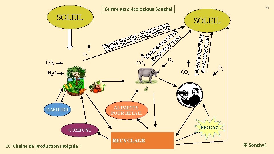 Centre agro-écologique Songhaï 70 SOLEIL O 2 CO 2 H 2 O GASIFIER ALIMENTS Centre agro-écologique Songhaï 70 SOLEIL O 2 CO 2 H 2 O GASIFIER ALIMENTS