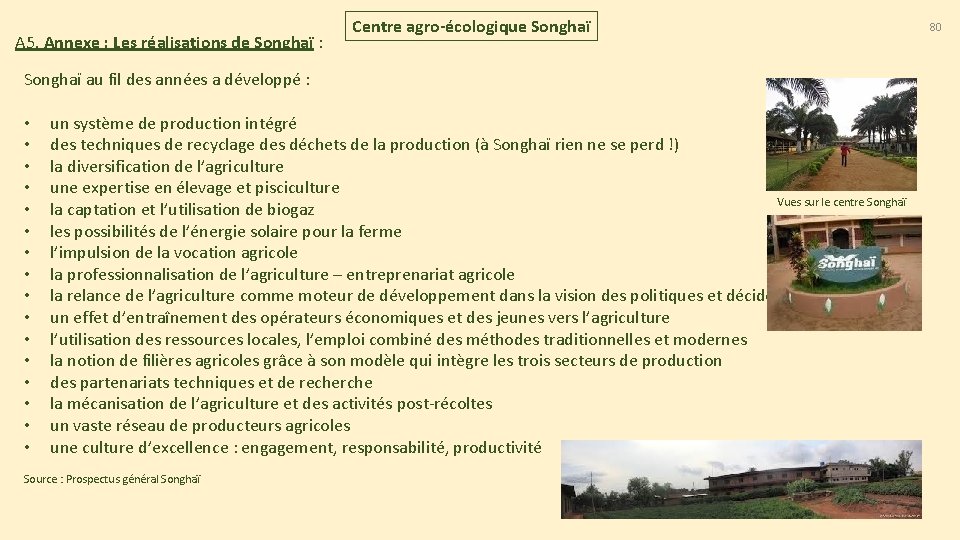 A 5. Annexe : Les réalisations de Songhaï : Centre agro-écologique Songhaï au fil A 5. Annexe : Les réalisations de Songhaï : Centre agro-écologique Songhaï au fil