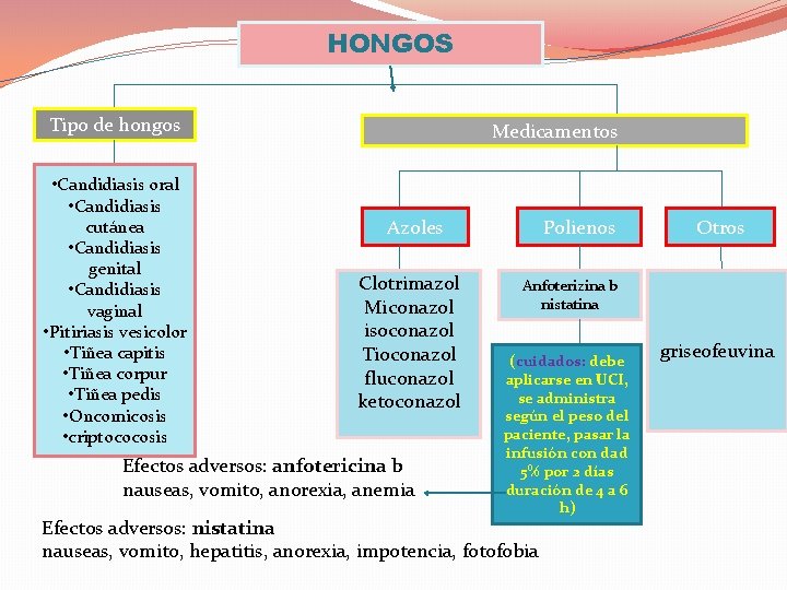 HONGOS Tipo de hongos • Candidiasis oral • Candidiasis cutánea • Candidiasis genital •