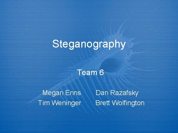 Steganography Team 6 Megan Enns Tim Weninger Dan Razafsky Brett Wolfington 