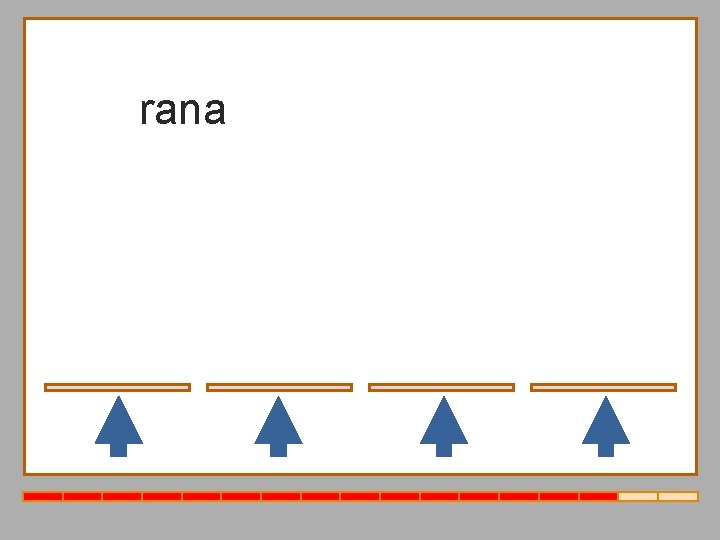 rana sapo lagarto culebra 