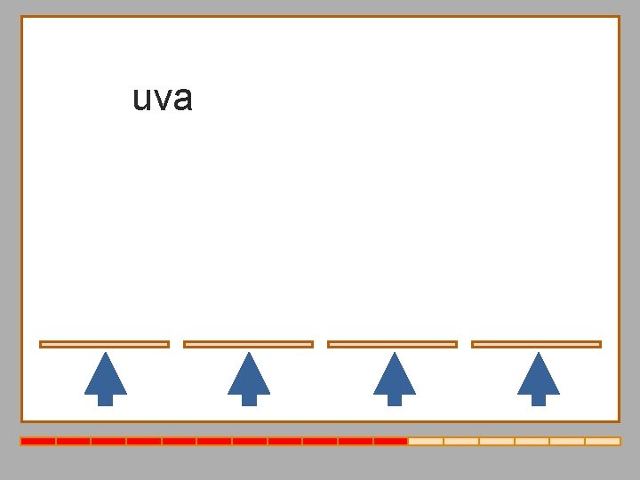 uva vía ave huevo 