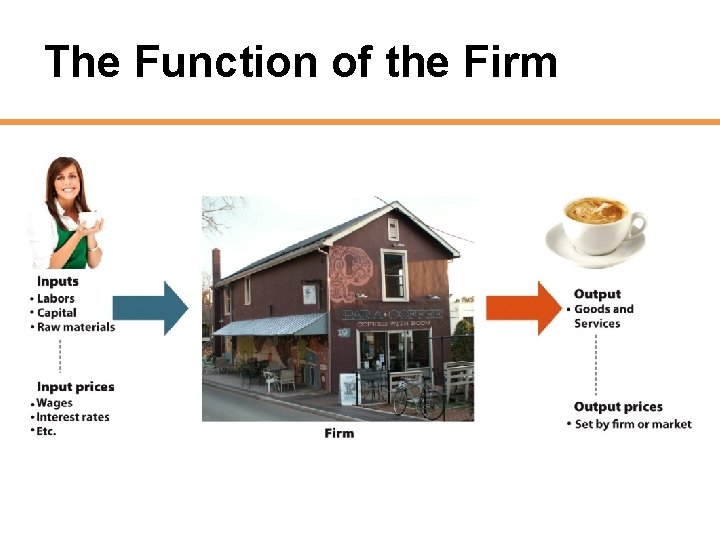 The Function of the Firm 