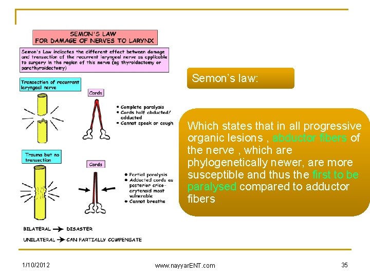 Semon’s law: Which states that in all progressive organic lesions , abductor fibers of