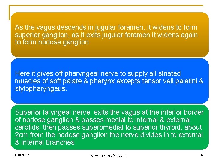 As the vagus descends in jugular foramen, it widens to form superior ganglion, as