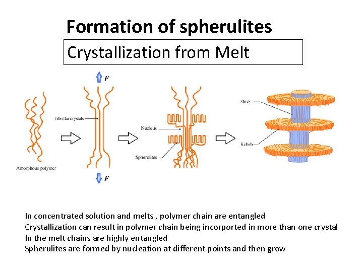 Formation of spherulites Crystallization from Melt In concentrated solution and melts , polymer chain