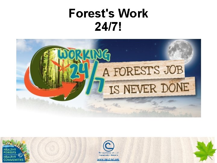 Forest's Work 24/7! www. nacdnet. org 