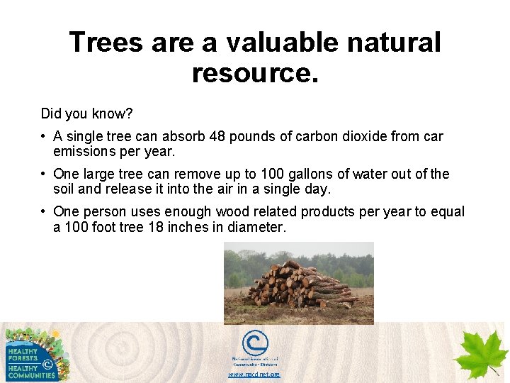 Trees are a valuable natural resource. Did you know? • A single tree can