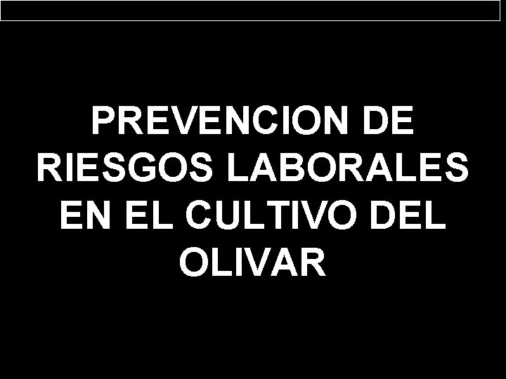 PREVENCION DE RIESGOS LABORALES EN EL CULTIVO DEL OLIVAR 