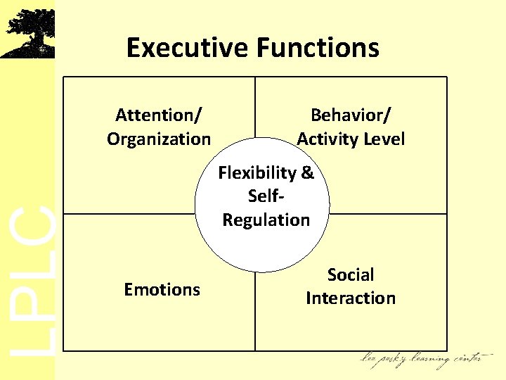 LPLC Executive Functions Attention/ Organization Behavior/ Activity Level Flexibility & Self. Regulation Emotions Social