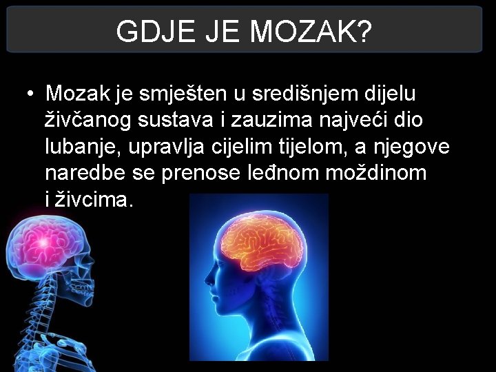 GDJE JE MOZAK? • Mozak je smješten u središnjem dijelu živčanog sustava i zauzima