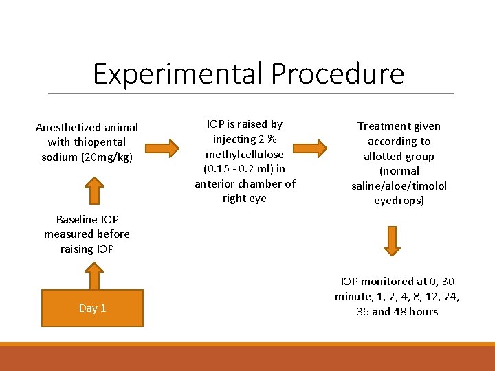 Experimental Procedure Anesthetized animal with thiopental sodium (20 mg/kg) IOP is raised by injecting Experimental Procedure Anesthetized animal with thiopental sodium (20 mg/kg) IOP is raised by injecting