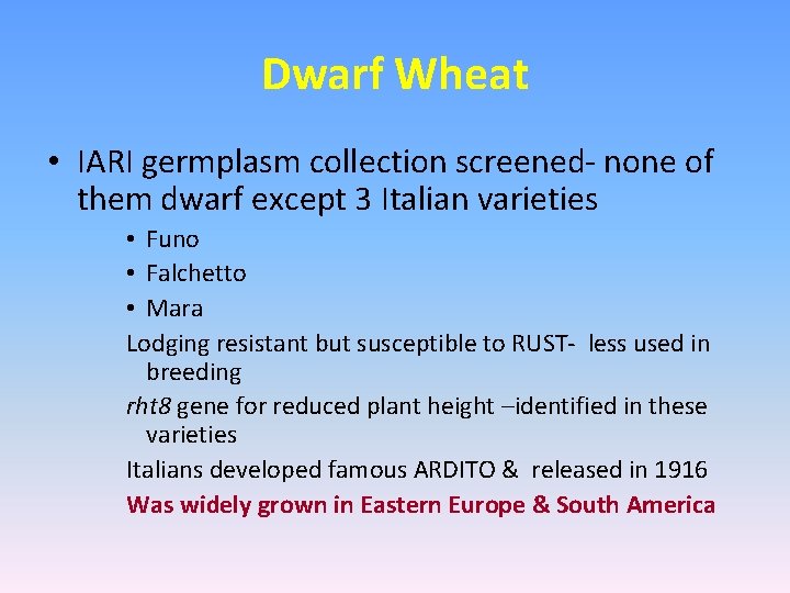 Dwarf Wheat • IARI germplasm collection screened- none of them dwarf except 3 Italian