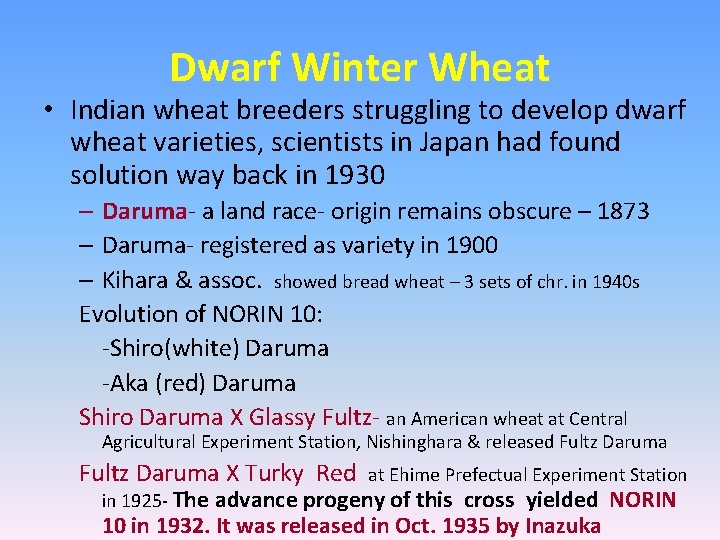 Dwarf Winter Wheat • Indian wheat breeders struggling to develop dwarf wheat varieties, scientists