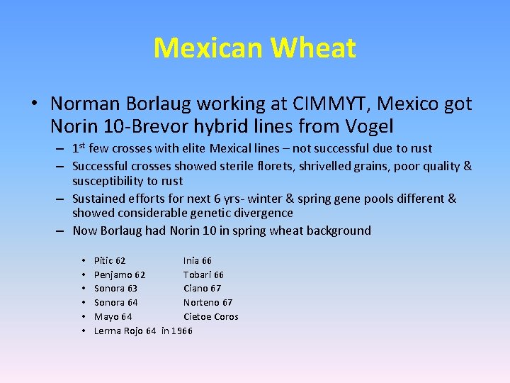 Mexican Wheat • Norman Borlaug working at CIMMYT, Mexico got Norin 10 -Brevor hybrid