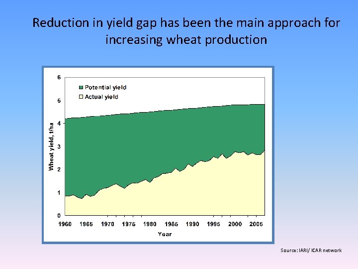Reduction in yield gap has been the main approach for increasing wheat production Source: