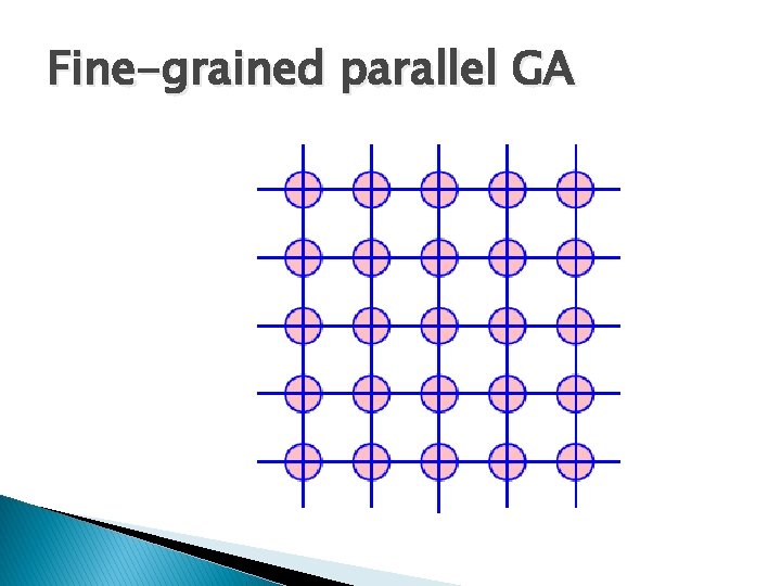Fine-grained parallel GA Fine-grained parallel GA