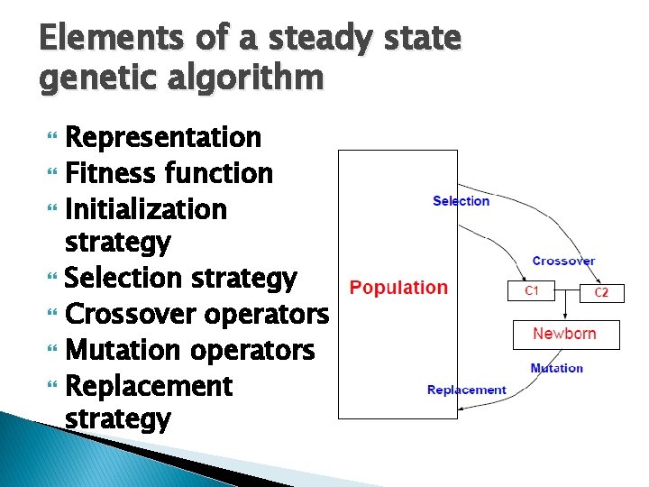 Elements of a steady state genetic algorithm Representation Fitness function Initialization strategy Selection strategy Elements of a steady state genetic algorithm Representation Fitness function Initialization strategy Selection strategy
