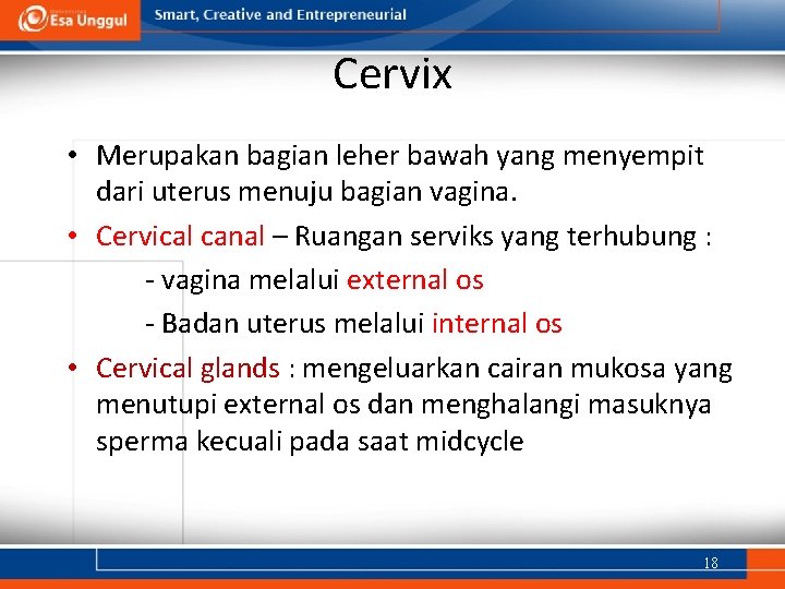 Cervix • Merupakan bagian leher bawah yang menyempit dari uterus menuju bagian vagina. •