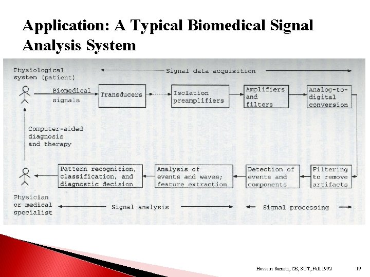 Application: A Typical Biomedical Signal Analysis System Hossein Sameti, CE, SUT, Fall 1992 19