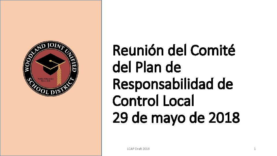 Reunión del Comité del Plan de Responsabilidad de Control Local 29 de mayo de